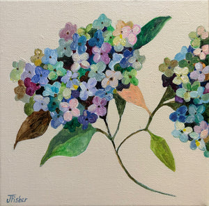 'Hydrangea on Ivory' - Original Artwork